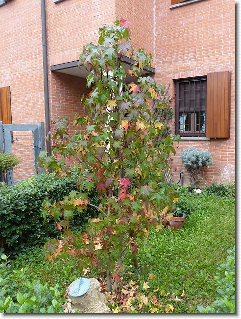 Clicca per scorrere le foto originali ingrandite