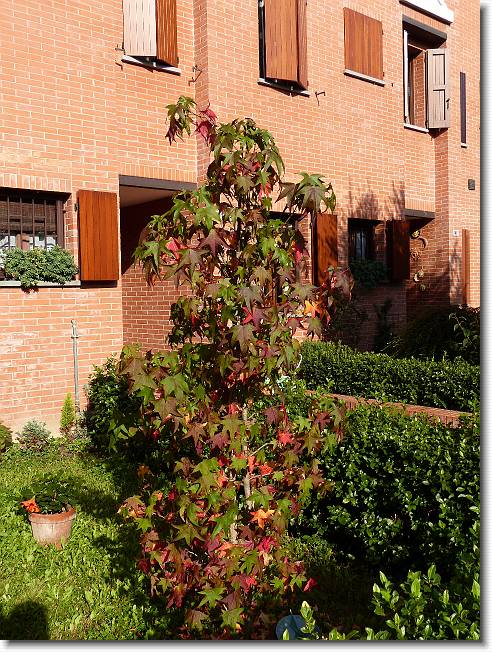 Clicca per scorrere le foto originali ingrandite