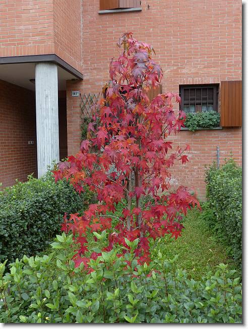 Clicca per scorrere le foto originali ingrandite