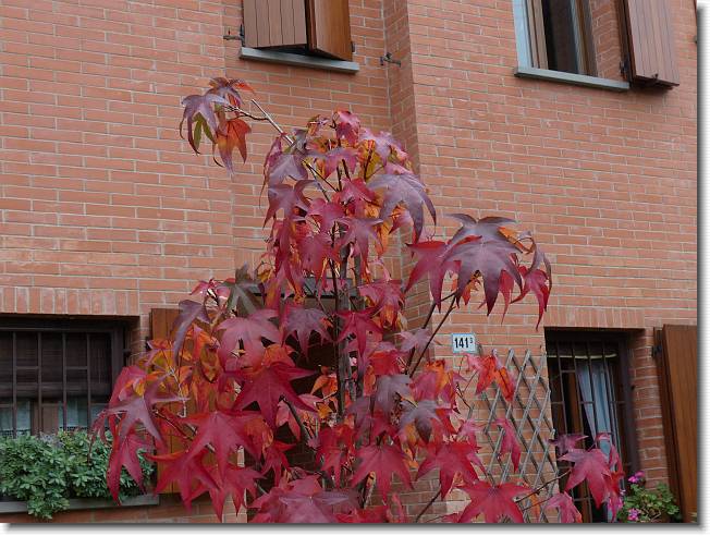 Clicca per scorrere le foto originali ingrandite