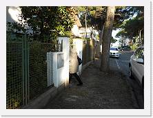 DSCN0514 * 3648 x 2736 * (2.15MB)