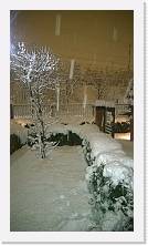 WP_20150206_001 * 2000 x 3552 * (2.41MB)