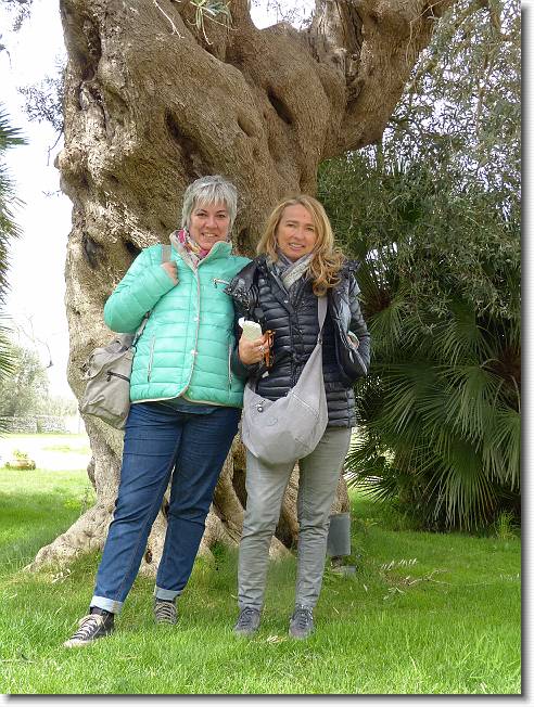 Clicca per scorrere le foto originali ingrandite