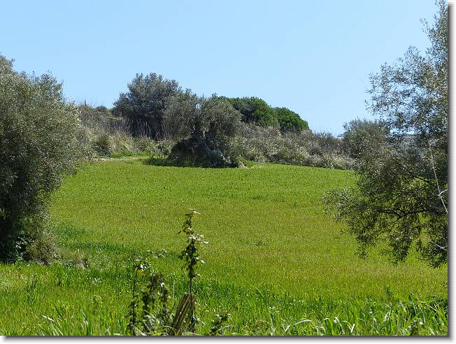 Clicca per scorrere le foto originali ingrandite