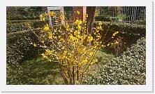 WP_20150329_001 * 3552 x 2000 * (4.07MB)