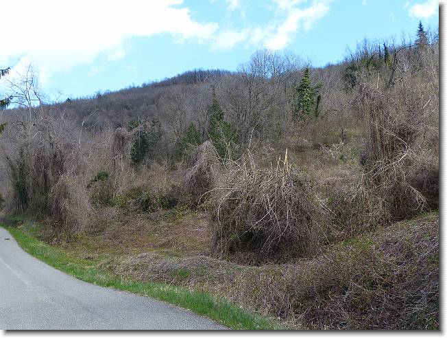 Clicca per scorrere le foto originali ingrandite