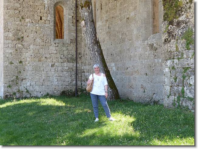 Clicca per scorrere le foto originali ingrandite