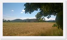 WP_20150627_001 * 3552 x 2000 * (2.66MB)