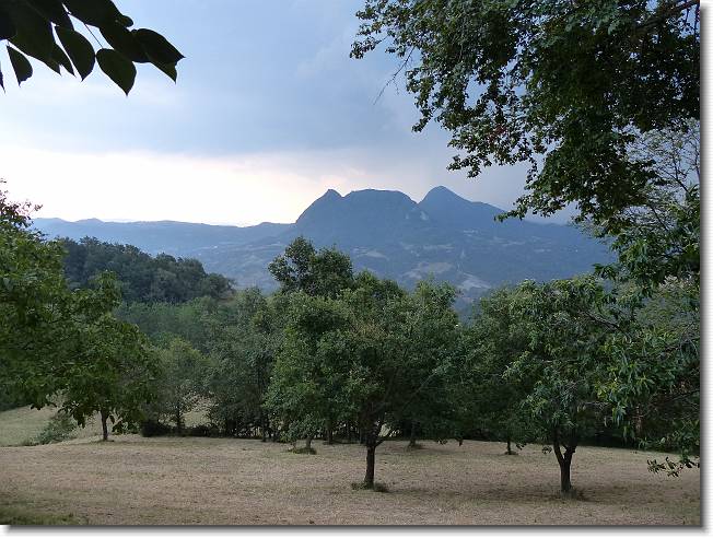 Clicca per scorrere le foto originali ingrandite