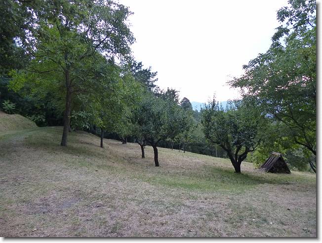 Clicca per scorrere le foto originali ingrandite