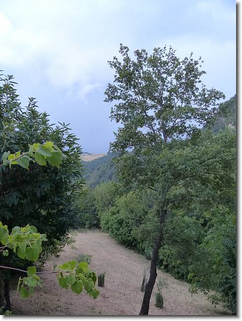 Clicca per scorrere le foto originali ingrandite