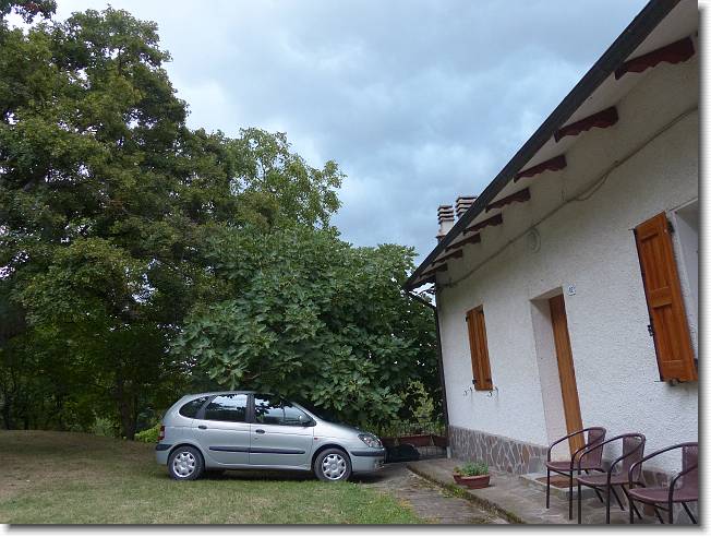 Clicca per scorrere le foto originali ingrandite