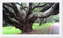 WP_20151122_11_35_34_Pro * 3072 x 1728 * (2.72MB)