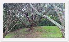 WP_20151122_11_38_09_Pro * 3072 x 1728 * (3.17MB)