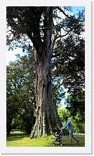 WP_20151122_15_01_53_Pro * 3024 x 5376 * (6.14MB)