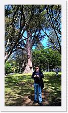 WP_20151122_15_03_16_Pro * 3024 x 5376 * (8.31MB)