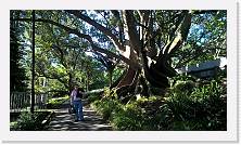 WP_20151123_17_26_04_Pro * 5376 x 3024 * (7.13MB)