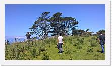 WP_20151126_15_00_32_Pro * 5376 x 3024 * (5.97MB)