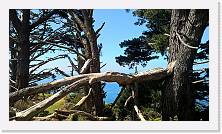 WP_20151126_15_08_28_Pro * 5376 x 3024 * (6.25MB)