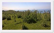 WP_20151126_15_09_54_Pro * 5376 x 3024 * (6.58MB)