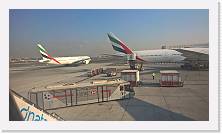 WP_20151128_08_41_30_Pro * 5376 x 3024 * (4.23MB)