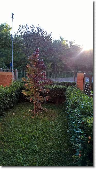 Clicca per scorrere le foto originali ingrandite