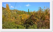 WP_20151101_11_17_31_Pro * 5376 x 3024 * (6.93MB)