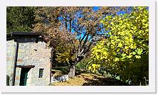WP_20151101_13_28_48_Pro * 5376 x 3024 * (8.27MB)