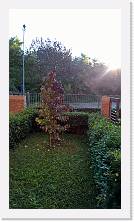 WP_20151102_08_02_11_Pro * 3024 x 5376 * (5.31MB)