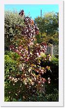 WP_20151102_09_33_04_Pro * 3024 x 5376 * (7.07MB)