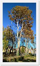 WP_20151107_12_36_38_Pro * 3024 x 5376 * (3.92MB)