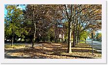 WP_20151107_12_37_16_Pro * 5376 x 3024 * (8.87MB)