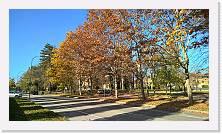 WP_20151107_12_37_49_Pro * 5376 x 3024 * (7.43MB)
