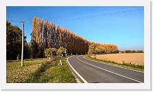 WP_20151107_12_53_52_Pro * 5376 x 3024 * (3.28MB)