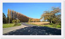 WP_20151107_12_54_34_Pro * 5376 x 3024 * (5.51MB)