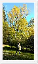 WP_20151107_15_02_24_Pro * 3024 x 5376 * (4.8MB)