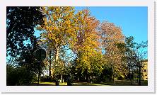 WP_20151107_15_04_43_Pro * 5376 x 3024 * (7.91MB)