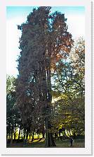 WP_20151107_15_06_20_Pro * 3024 x 5376 * (3.08MB)