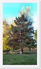 WP_20151107_15_07_51_Pro * 3024 x 5376 * (3.43MB)