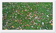 WP_20151107_15_41_10_Pro * 5376 x 3024 * (7.53MB)