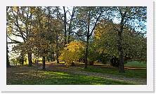 WP_20151107_15_41_29_Pro * 5376 x 3024 * (7.61MB)