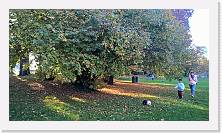 WP_20151107_15_42_15_Pro * 5376 x 3024 * (6.92MB)