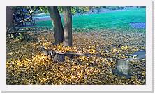 WP_20151107_15_44_36_Pro * 5376 x 3024 * (6.67MB)