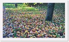 WP_20151107_15_49_08_Pro * 5376 x 3024 * (6.93MB)