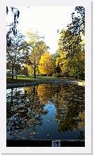 WP_20151107_15_49_43_Pro * 3024 x 5376 * (3.82MB)