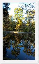 WP_20151107_15_50_54_Pro * 3024 x 5376 * (4.02MB)