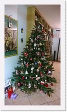 WP_20151218_001 * 720 x 1278 * (277KB)