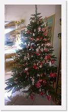 WP_20151225_004 * 720 x 1278 * (245KB)