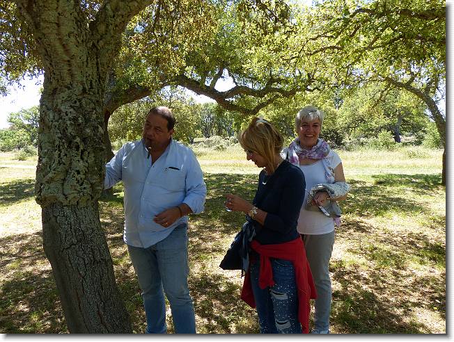 Clicca per scorrere le foto originali ingrandite
