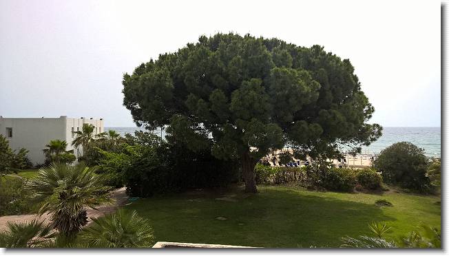 Clicca per scorrere le foto originali ingrandite